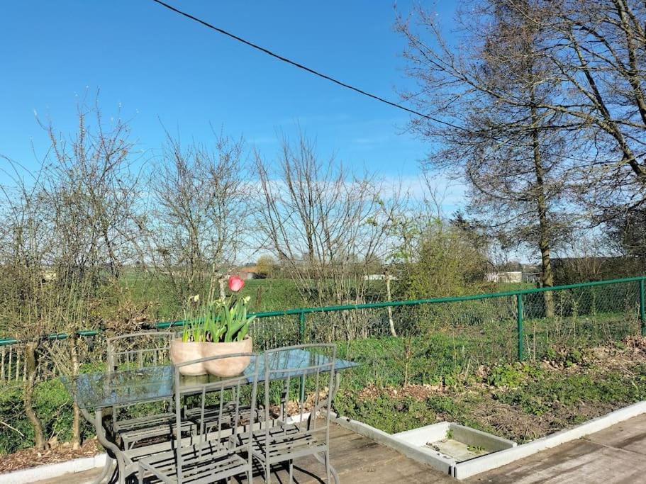 Gite Rural La Ferme Du Semeur-Zaaiershof Lessines Εξωτερικό φωτογραφία