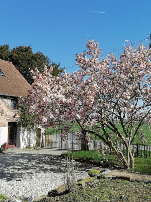 Gite Rural La Ferme Du Semeur-Zaaiershof Lessines Εξωτερικό φωτογραφία